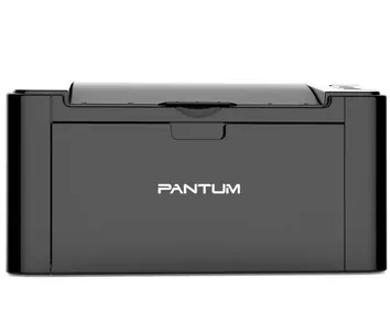 Замена ролика захвата на принтере Pantum P2500NW в Новосибирске